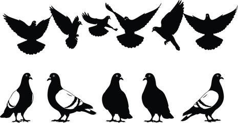 Obraz premium Black octopus silhouettes set featuring various poses of cephalopods with curling tentacles for nautical marine life and ocean vector design