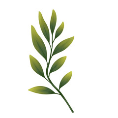 branch with green leaves