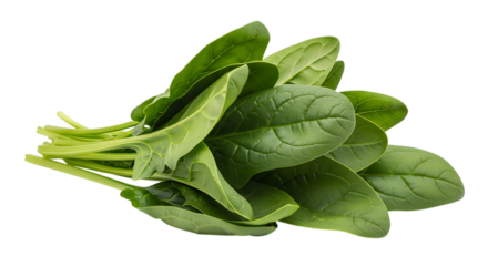 Fresh spinach leaves isolated on transparent background