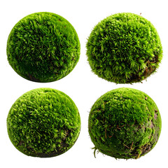 Four spherical objects covered in vibrant green moss, isolated on a black background