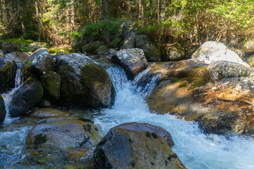 Naklejka premium A clear mountain stream flowing over large mossy boulders in a sunlit forest. Captured in the High Tatras National Park, Slovakia, showcasing the pristine wilderness and natural water flow.