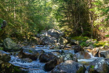 A clear mountain stream flowing over large mossy boulders in a sunlit forest. Captured in the High Tatras National Park, Slovakia, showcasing the pristine wilderness and natural water flow.