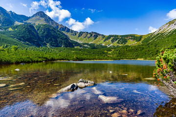 A beautiful scenic view of Velke Biele pleso lake in the High Tatras. Crystal clear water with a grassy peninsula and majestic mountain peaks under a bright blue sky in the Tatra National Park.