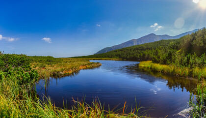 A peaceful view of Trojrohe pleso in the High Tatras. The crystal blue water reflects the sky, surrounded by lush green meadows and pine shrubs in the Tatra National Park.