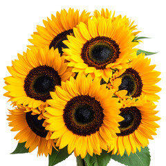 A vibrant bouquet of sunflowers with bright yellow petals and dark brown centers