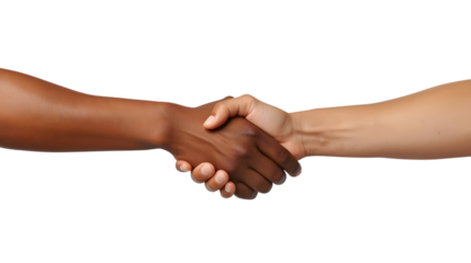 Diverse Hands Shaking in Unity and Agreement with Firm Handshake Gesture in Soft Natural Lighting for Business Partnership