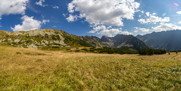 A beautiful landscape of golden mountain meadows under a bright blue sky. Captured in the High Tatras National Park near Hladke sedlo, featuring jagged rocky peaks and scattered pine shrubs in late su