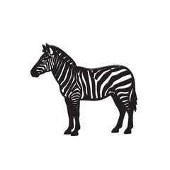 Fototapeta premium Zebra Silhouette in Modern Minimalist Style with High Contrast Black and White Stripes on Isolated White Background for Wildlife Illustration