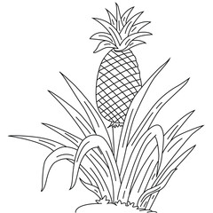Cute cartoon hand drawn drawn vector Pineapple Plant outline.