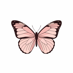 Obraz premium Minimalistic vector illustration of a delicate pink butterfly isolated on a white background, featuring thick dark outlines and a symmetrical flat design perfect for graphic resources.