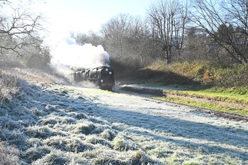 Vintage steam locomotive exiting a tunnel during the winter of 2025 in the UK   © paulbriden