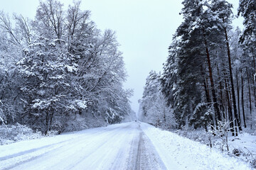 Obraz premium winter forest road. A snow-covered road stretches through a tranquil winter landscape, framed by trees. Snow-covered road, cold season, beauty of nature in winter. snowfall, trees covered with snow