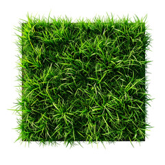 Square patch of vibrant green grass against a stark black background