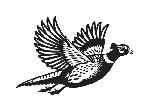 Flying Pheasant Bird Vector. Flying pheasant bird silhouette vector illustration