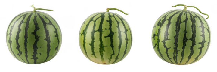 Three ripe watermelons on black green color isolated on a transparent background