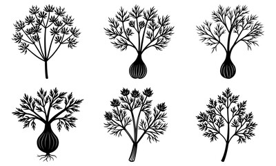 Six Onion Plant Silhouettes on White Background vegetable botanical