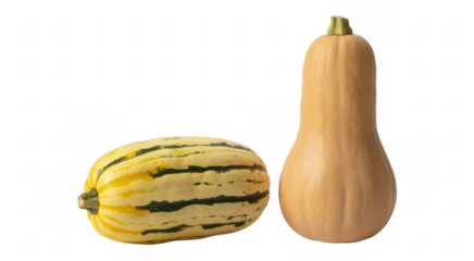 Two Butternut Squashes vegetables isolated on a transparent background
