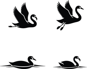 Fototapeta premium A collection of silhouetted black swans in various poses, including flying and swimming, against a white background.