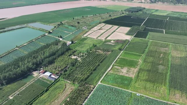 Sanmenxia Agricultural Landscape, Yellow River Region Aerial View