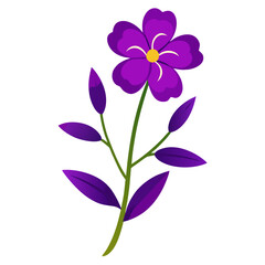 bessera elegans purple flower silhouette