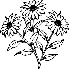 black eyed susans pink line art vector on white