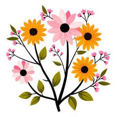 black eyed susans pink on white background