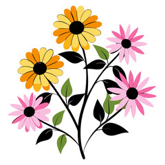 black eyed susans pink flower 