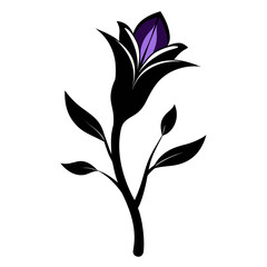 brodiaea bulb  silhouette vector on white