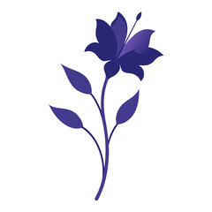 brodiaea bulb  flower silhouette