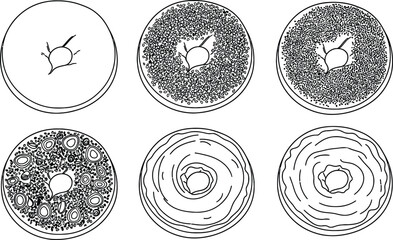 Outline illustration set of 6 Bagel toppings plain bagel sesame seed poppy seed everything bagel and cream cheese smear