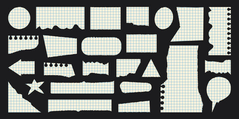 Torn notebook paper pieces with grid pattern. Ripped scrap shapes for collage notes