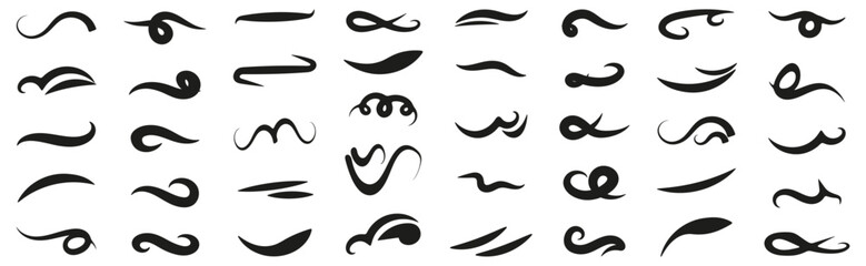 Calligraphic flourish elements and decorative strokes. Elegant swashes for typography and ornamental © top dog