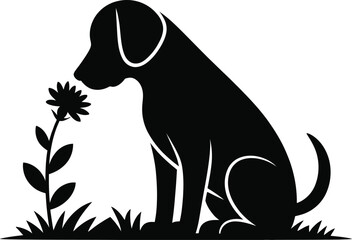 Cat Watching Stars Through Window