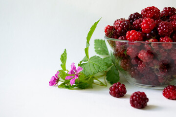 Fresh arctic raspberry (Rubus arcticus) berries in glass bowl with leaves and flowers on white background © Oleh