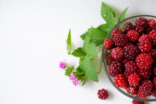 Fresh arctic raspberry (Rubus arcticus) berries in glass bowl with leaves and flowers on white background