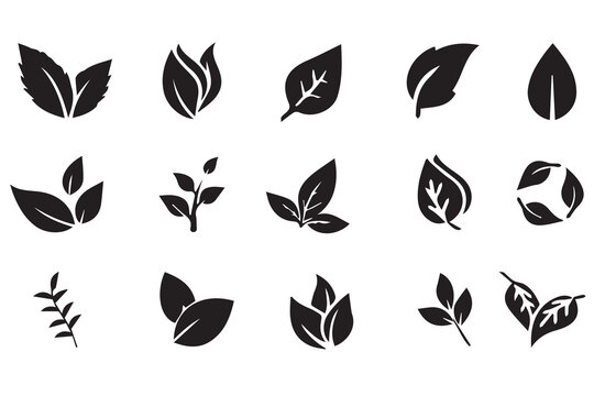 Green leaves big vector collection - Set of graphical elements with various leaf designs in different shapes and sizes. Flat design with white background