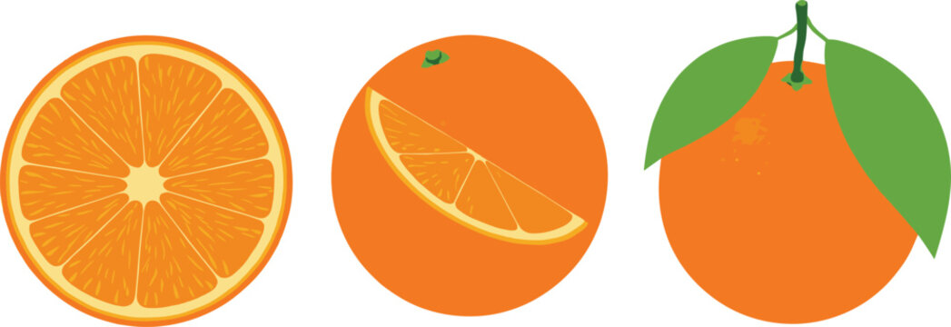 Minimal Orange Fruit Illustration Set with Whole Orange Slice and Cross Section Views for Healthy Food Concepts, Citrus Nutrition Designs, Packaging, and Grocery Graphics