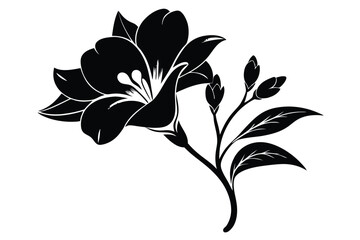 Obraz premium freesia silhouette line art vector illustration with a white background