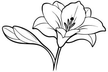 freesia silhouette line art vector illustration with a white background