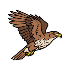 Detailed hawk flying mascot vector illustration isolated on white