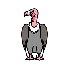 Vulture bird vector illustration isolated on white background