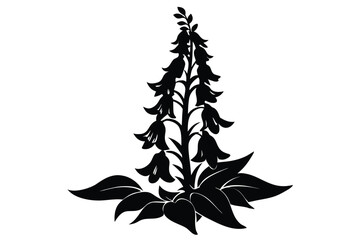 foxglove silhouette line art vector illustration with a white background © pipp99