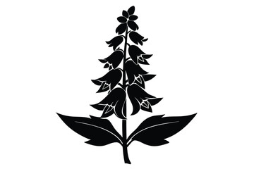 foxglove silhouette line art vector illustration with a white background © pipp99
