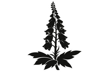 foxglove silhouette line art vector illustration with a white background © pipp99