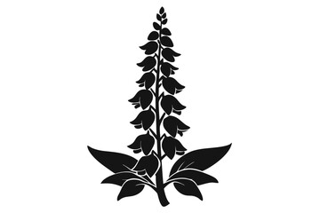 foxglove silhouette line art vector illustration with a white background © pipp99