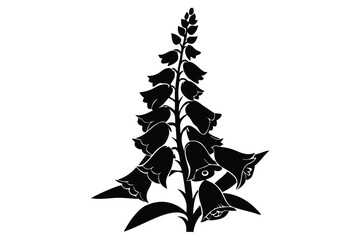 foxglove silhouette line art vector illustration with a white background © pipp99