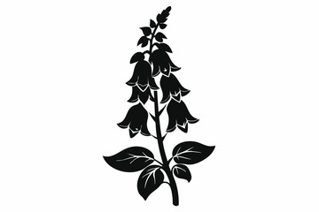 foxglove silhouette line art vector illustration with a white background © pipp99