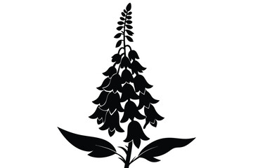 foxglove silhouette line art vector illustration with a white background © pipp99