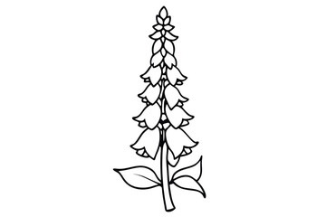 foxglove silhouette line art vector illustration with a white background © pipp99