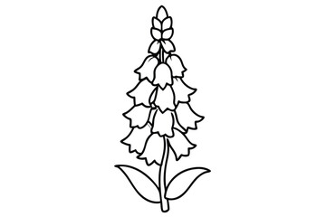 foxglove silhouette line art vector illustration with a white background © pipp99